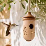 Birdhouse acorn hummingbird