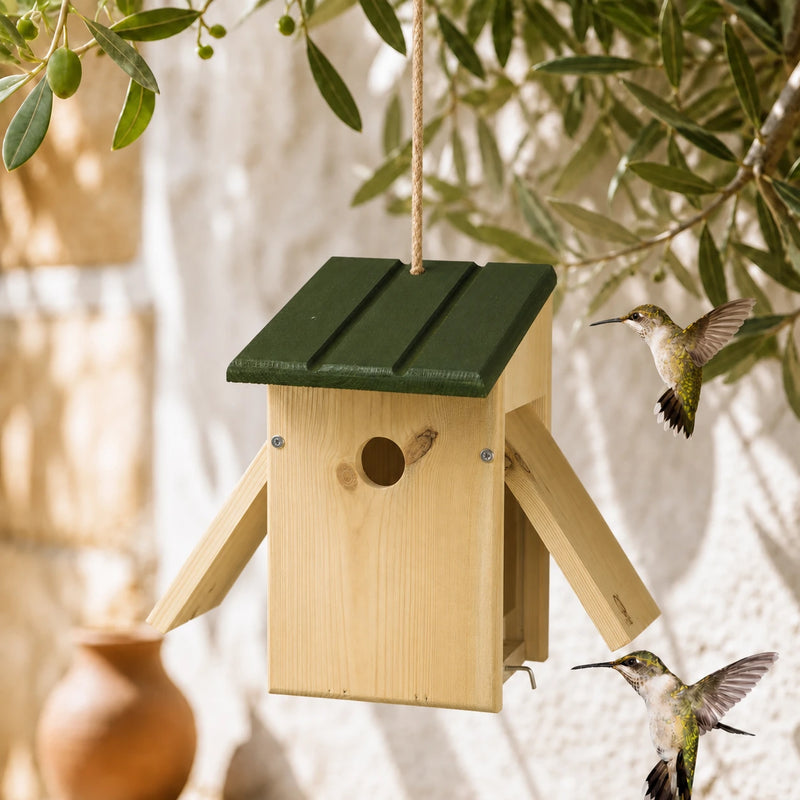 Birdhouse of observation entrance 34 mm