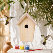 Kit birdhouse with paint