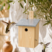 Birdhouse of observation