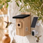 Birdhouse connected with camera 5 MP