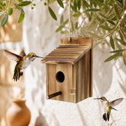 Birdhouse canopy burnt