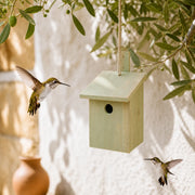Kit birdhouse in wood with assemble