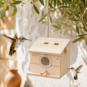 Birdhouse in pine transparent