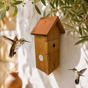Birdhouse camera-compatible solar