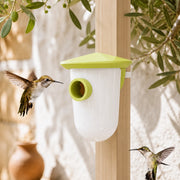 Birdhouse green