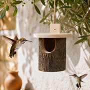 Birdhouse in birch semi open