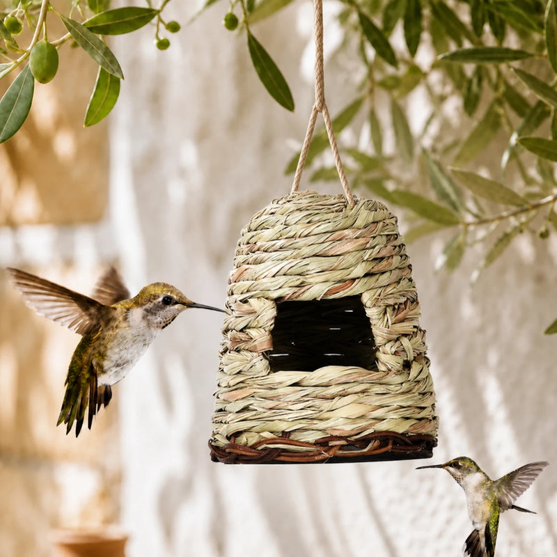 Birdhouse observation size 15 × 16 cm