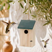 Birdhouse with green roof