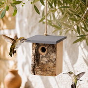 Birdhouse in bark of birch entrance 32 mm