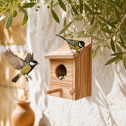 Birdhouse in wood with entrance of 60 mm