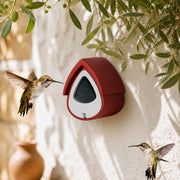 Birdhouse wall-mounted semi-open