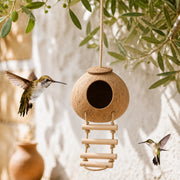 Birdhouse hanging in coconut shell with swing