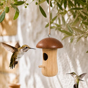Birdhouse hanging in shape of mushroom brown