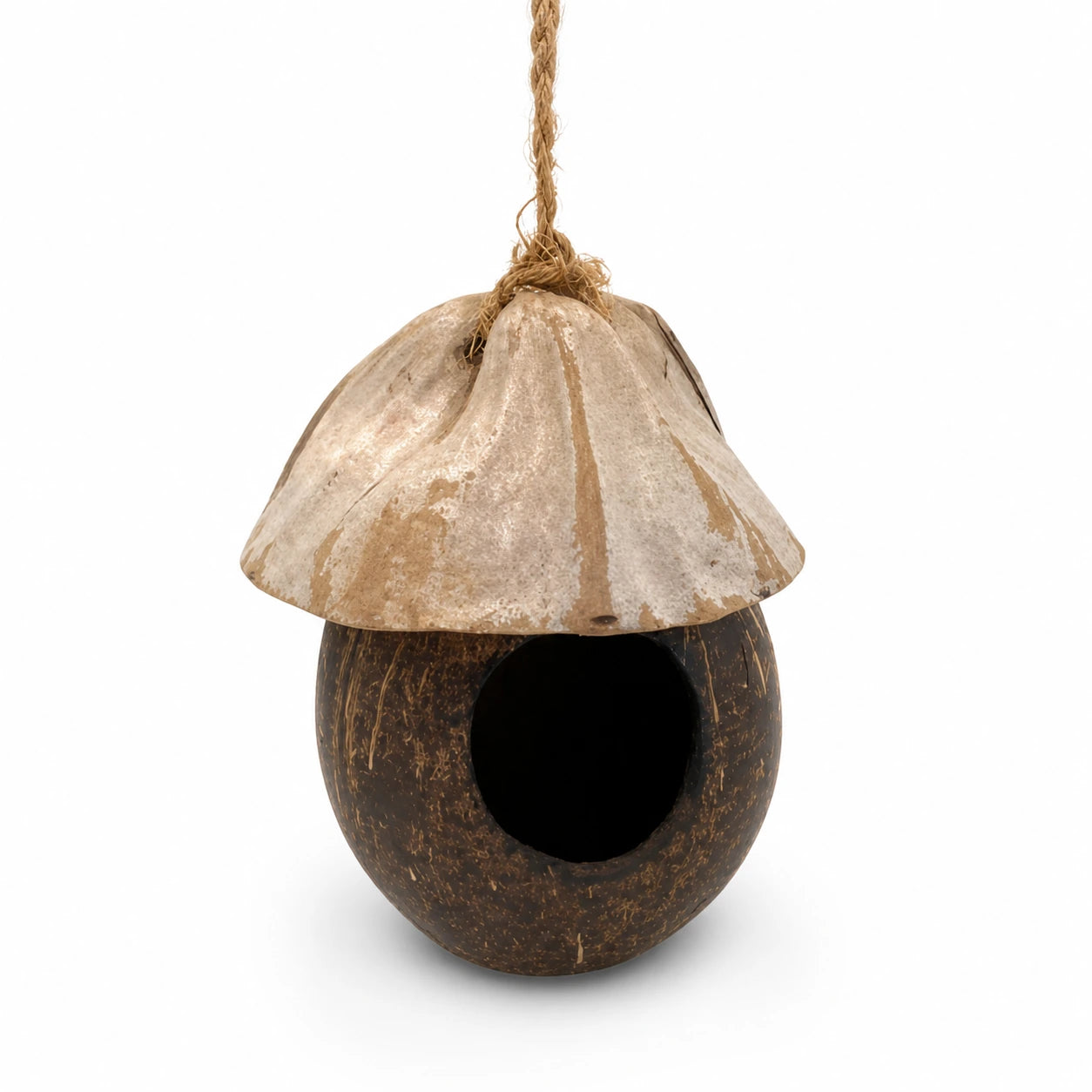 Birdhouse in coconut shell — photo 2