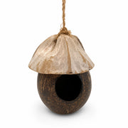 Birdhouse in coconut shell — photo 2