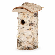 Birdhouse birch — photo 2