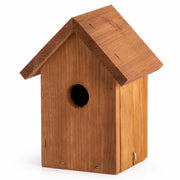 Birdhouse Douglas-fir compact — photo 2