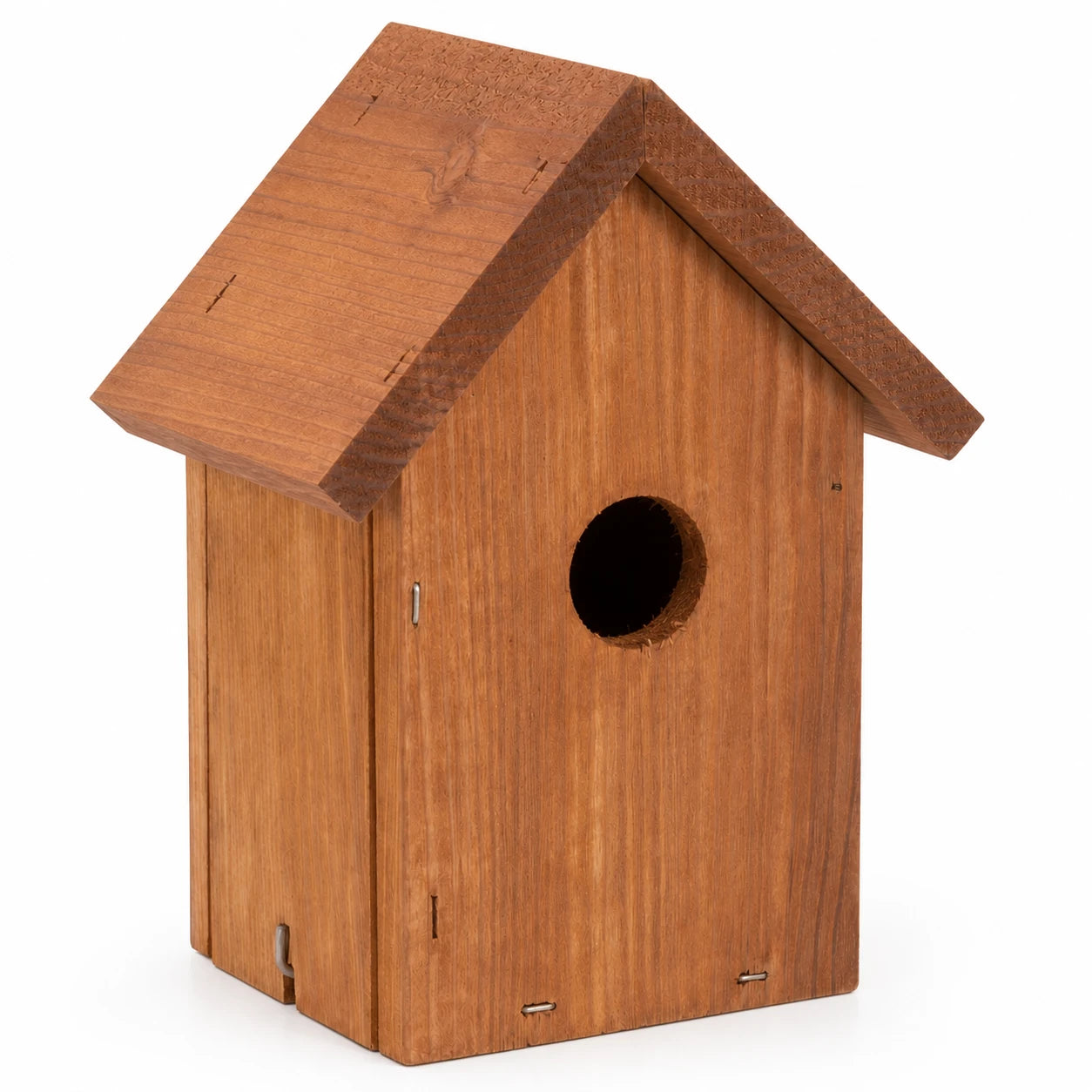 Birdhouse Douglas-fir compact — photo 3