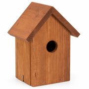Birdhouse Douglas-fir compact — photo 3