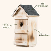 Birdhouse 3 in 1 — photo 4