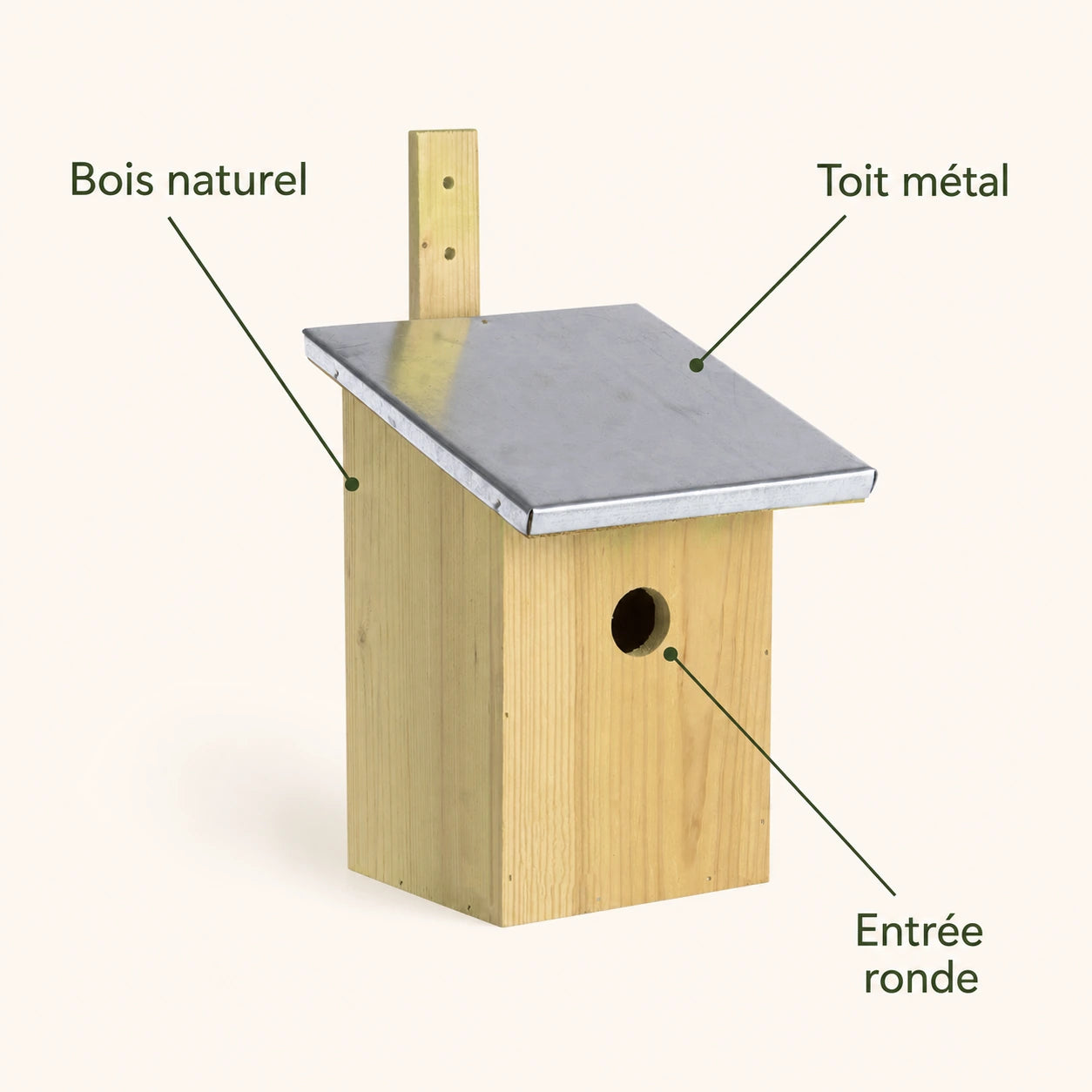 Birdhouse mirror — photo 4