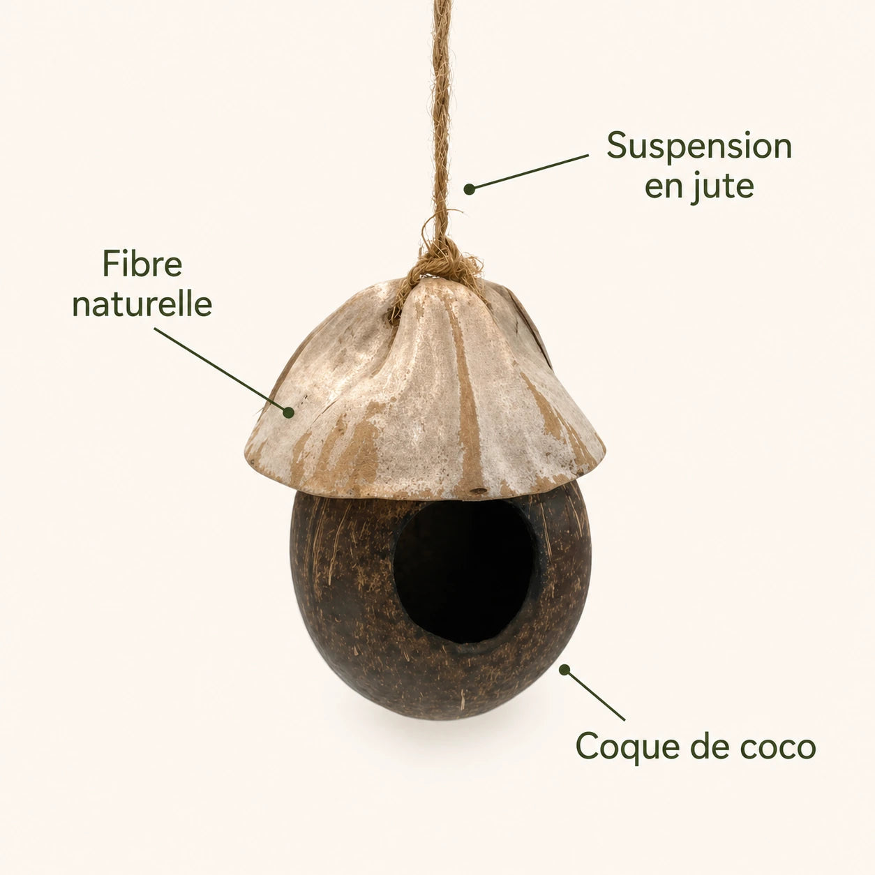 Birdhouse in coconut shell — photo 4