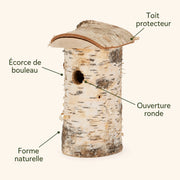 Birdhouse birch — photo 4