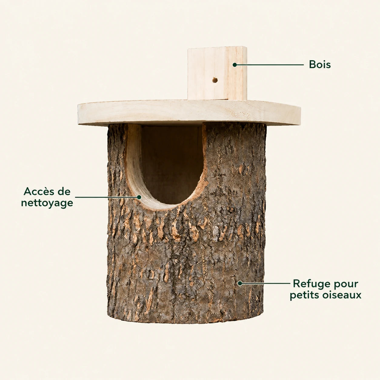 Birdhouse in birch semi open — photo 4