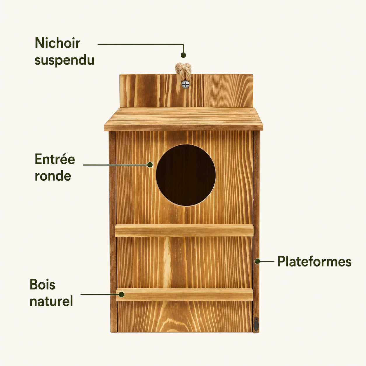 Birdhouse observation wood — photo 3