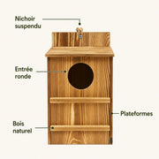 Birdhouse observation wood — photo 3