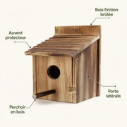 Birdhouse canopy burnt — photo 3