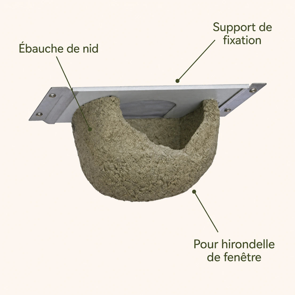 Nest with complete — photo 4