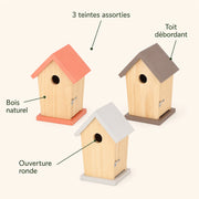 Birdhouse colours desert — photo 4