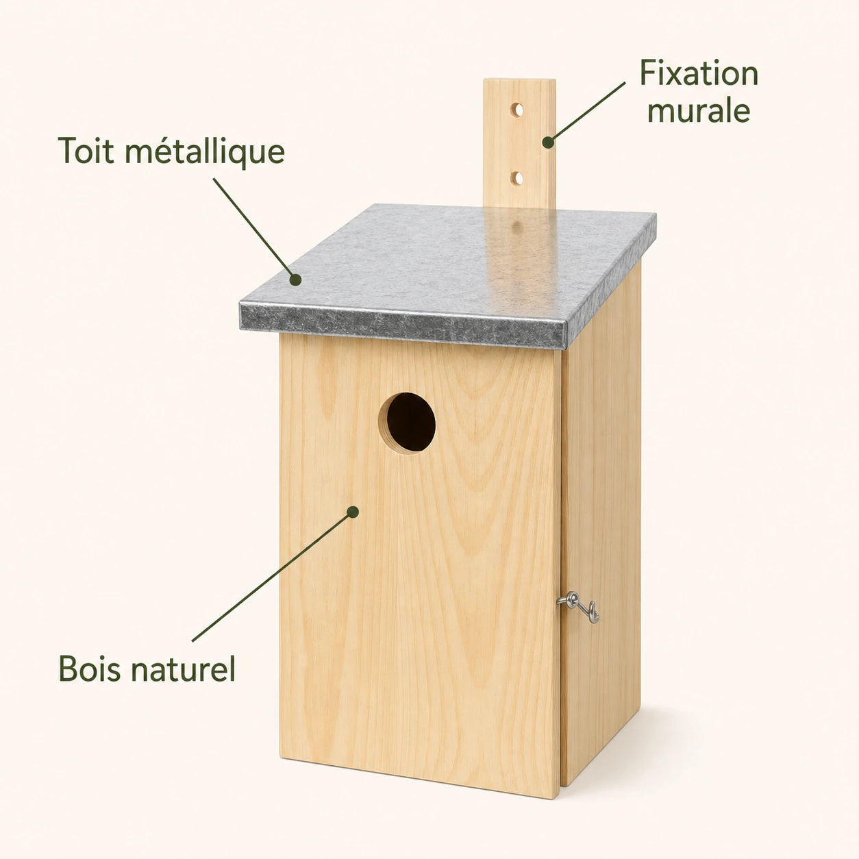 Birdhouse of observation — photo 4