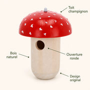 Birdhouse toadstool — photo 4