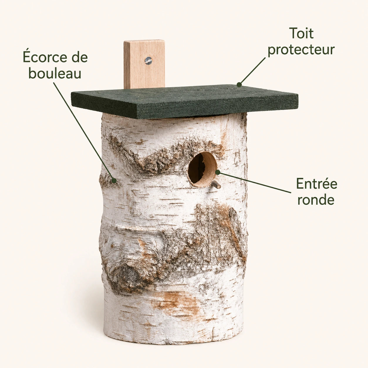 Birdhouse in birch — photo 4