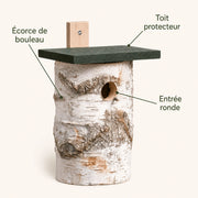 Birdhouse in birch — photo 4