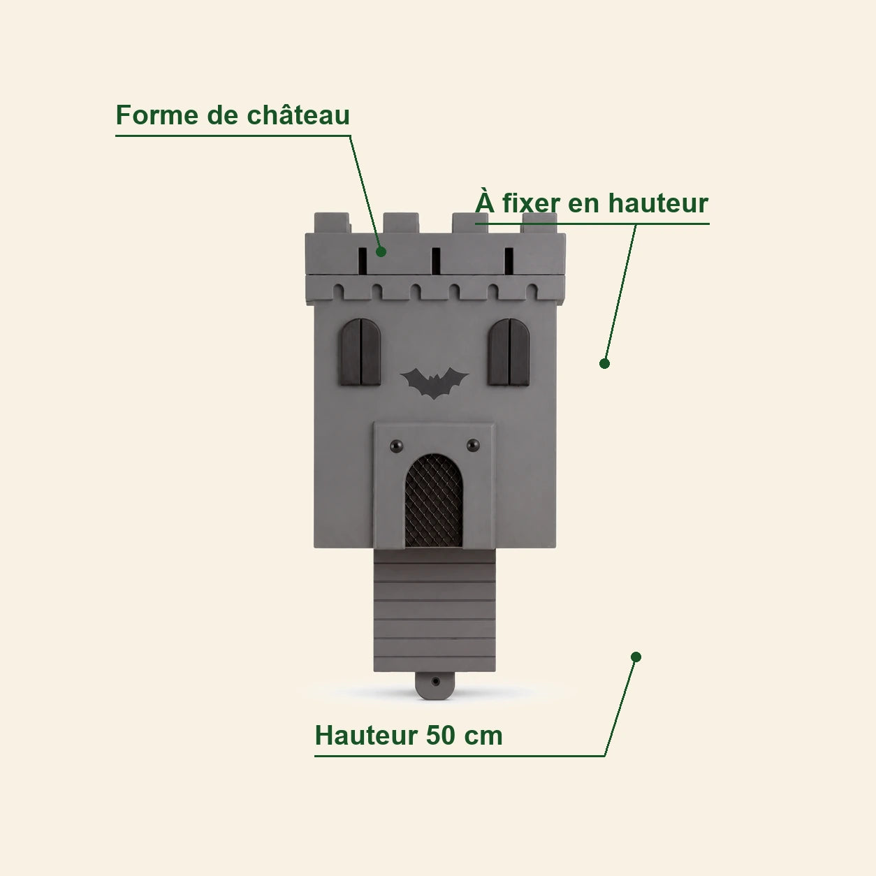Castle with bats — photo 4