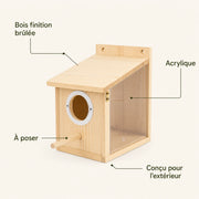 Birdhouse in pine transparent — photo 4