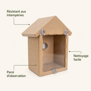 Birdhouse observation — photo 4