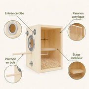Birdhouse observation in wood with wall transparent — photo 4