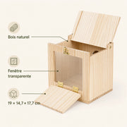Birdhouse transparent — photo 4