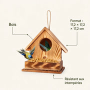 Birdhouse observation in wood red size 17,2 × 17,2 × 17,2 cm — photo 4